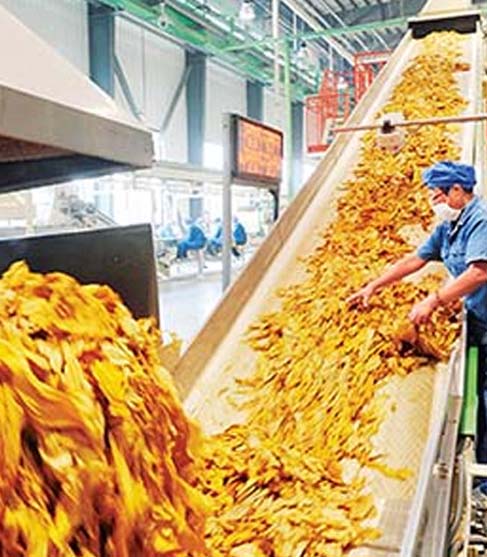 烟草加工行业的防火防爆解决方案